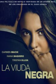 Игра вдовы (2025)