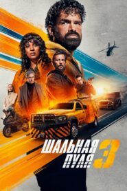 Шальная пуля 3 (2025)