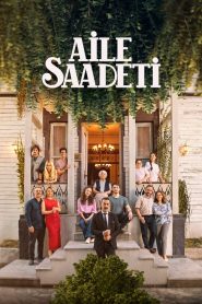 Семейное счастье (2025)