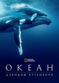 Океан с Дэвидом Аттенборо (2025)