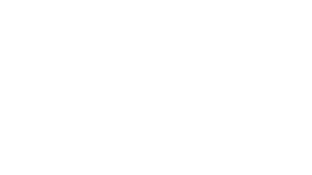 Студия Max
