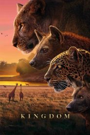 Королевство (2025)