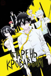 Кровавый парень (2013)