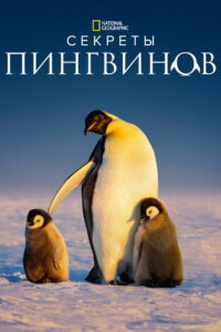 Секреты пингвинов (2025)
