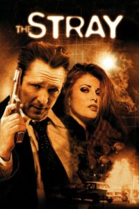 Бродяга (2000)