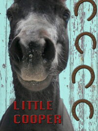 Little Cooper (2020)