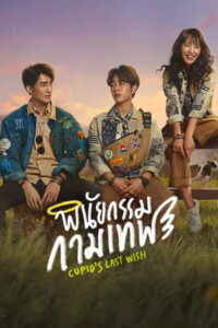 Последнее желание Купидона (2022)