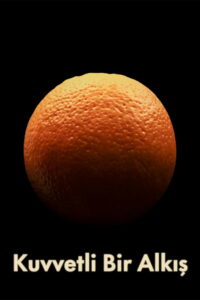 Бурные аплодисменты (2024)