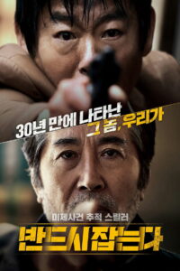 Преследование (2017)