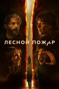 Лесной пожар (2026)