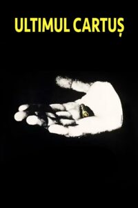 Последний патрон (1973)